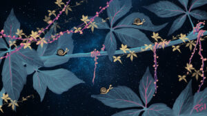 escargot dans la nuit